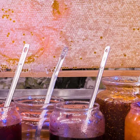 Hotel Régie Ottoman - Special Category