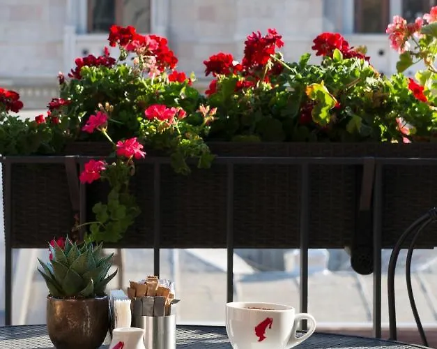 Regie Ottoman - Special Category מלון