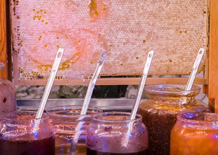 מלון Regie Ottoman - Special Category